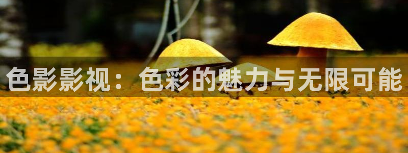 久久aa电影：色影影视：色彩的魅力与无限可能