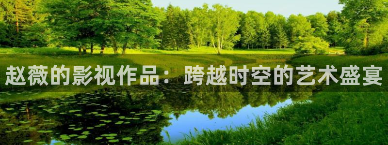 午夜电影aa：赵薇的影视作品：跨越时空的艺术盛宴
