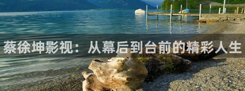 aaaaaaaaa大片免高清大片在线观看调：蔡徐坤影视：从幕后到台前的精彩人生