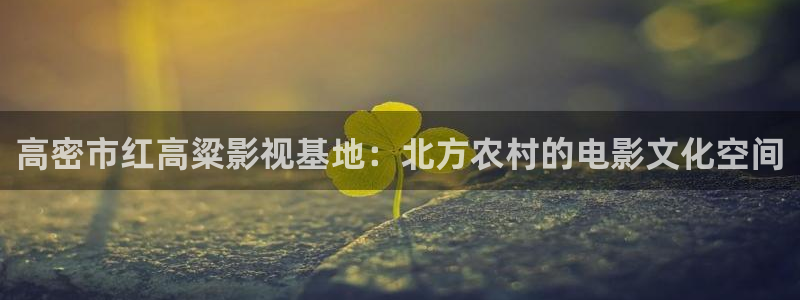 欧美aa一级看片：高密市红高粱影视基地：北方农村的电影文化空间
