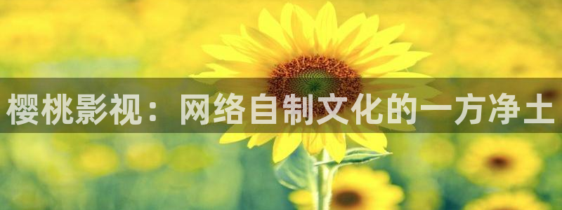 aaa午夜大片：樱桃影视：网络自制文化的一方净土