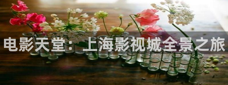 欧美电影aa：电影天堂：上海影视城全景之旅